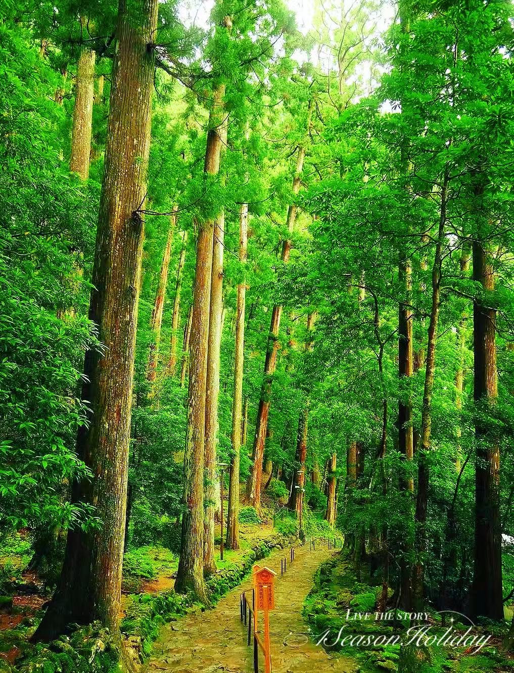Day 2: Kumano Hongu Taisha & Traditional Boat Journey