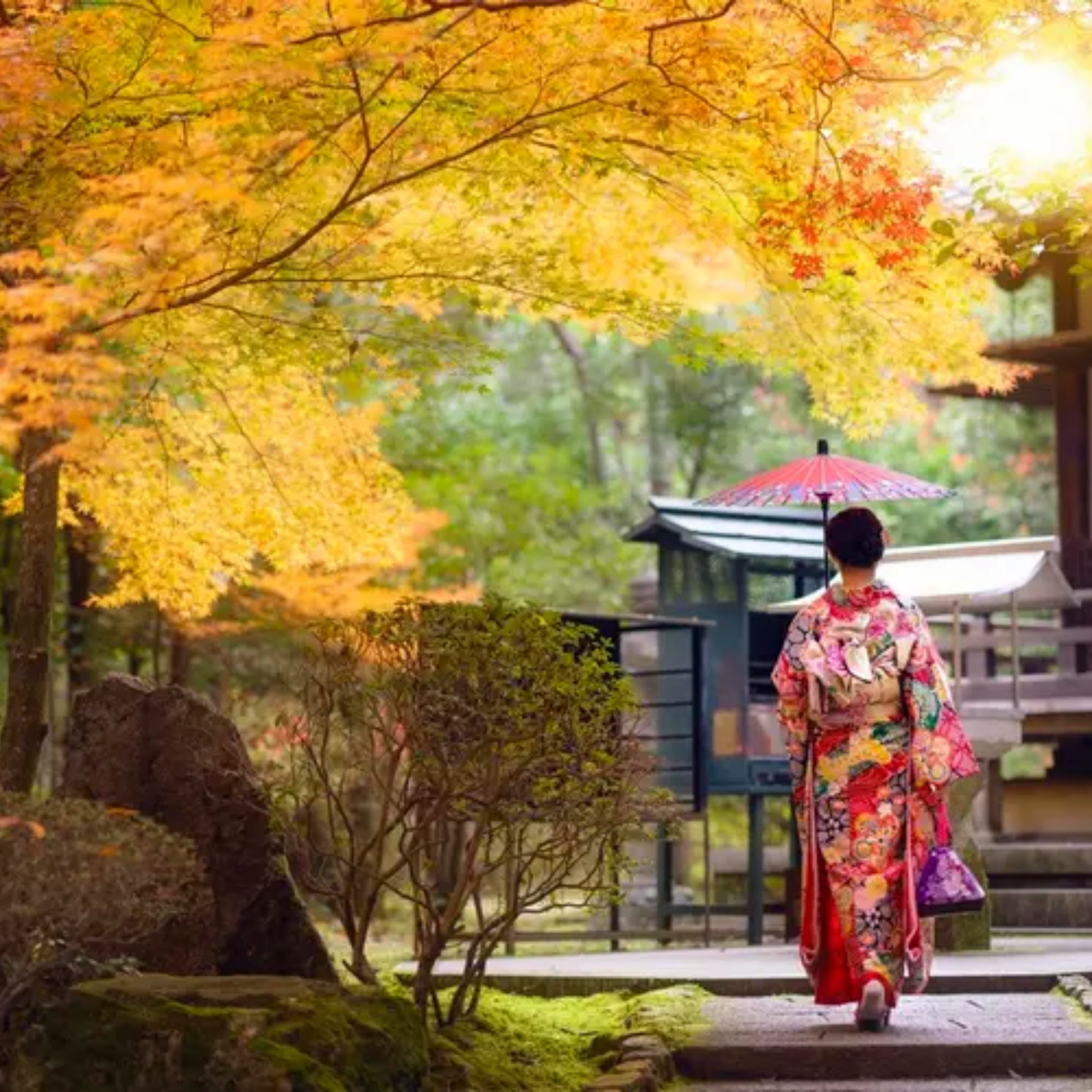 Day 4: Hakone → Kyoto - Bamboo & Silk