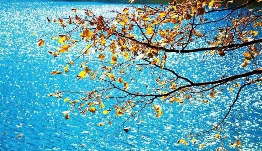 Autumn’s Golden Tapestry: Foliage, Deserts & Harvest Wonders of Asia