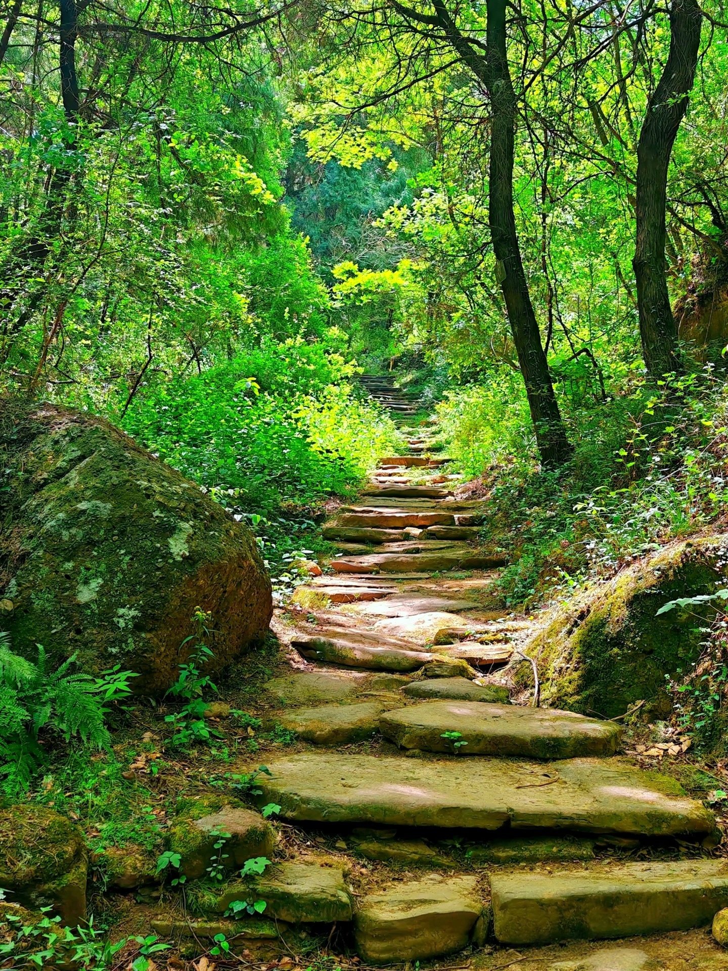 Day 4: Cuiyun Corridor Forest Walk