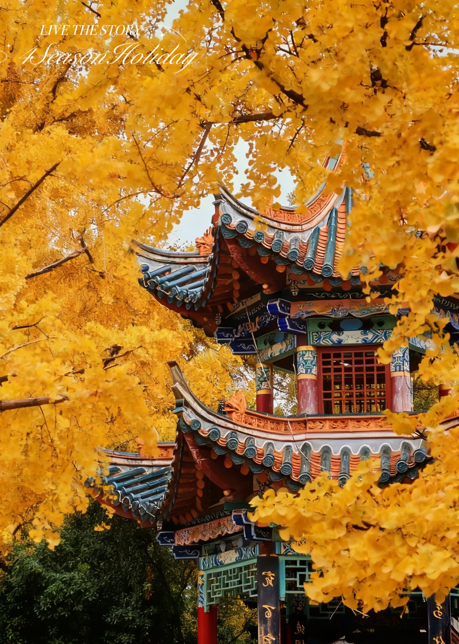 Day 1: Kunming Arrival - Spring City Welcome