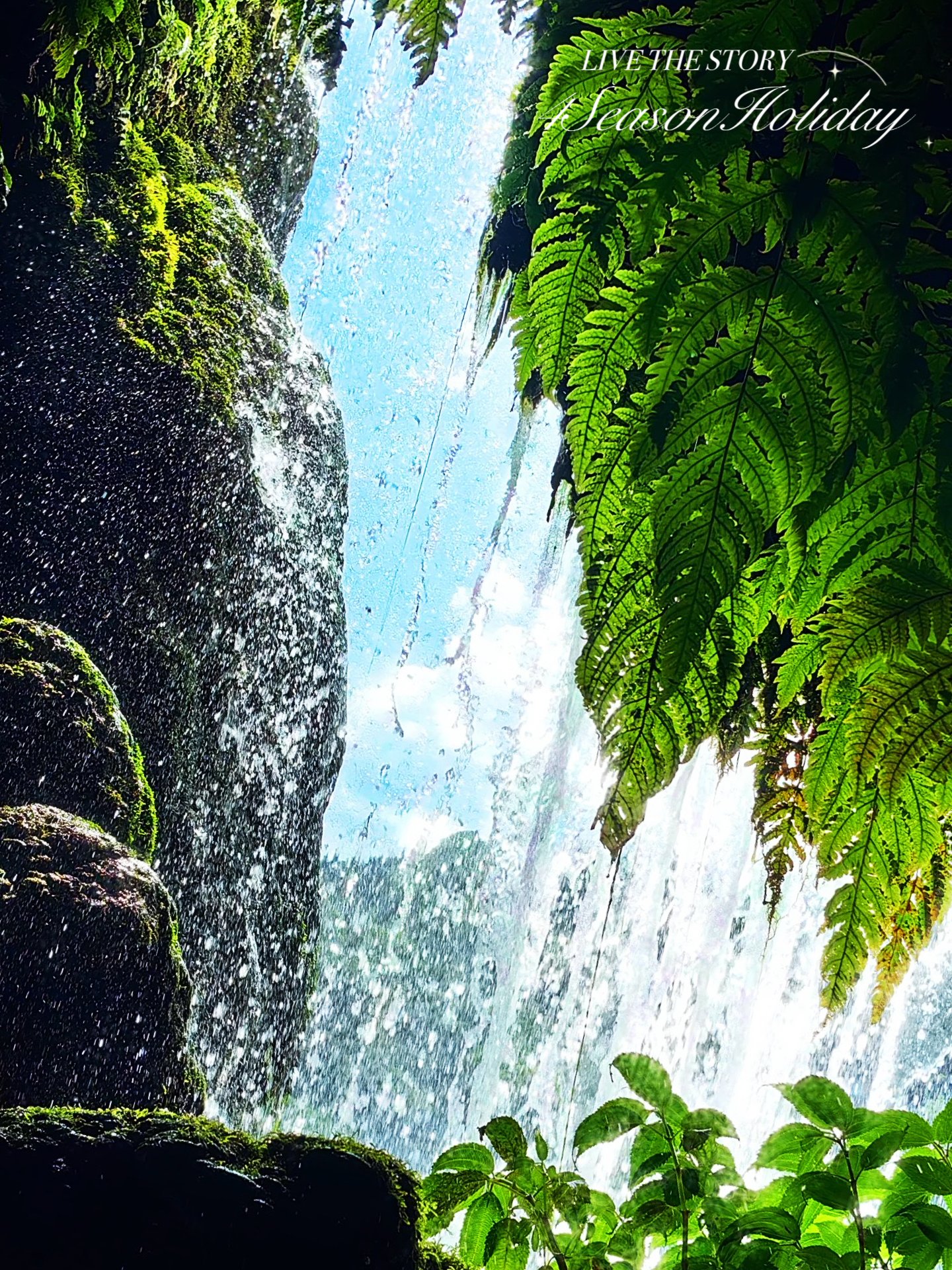 Day 11: Guiyang Transfer & Huangguoshu Waterfall