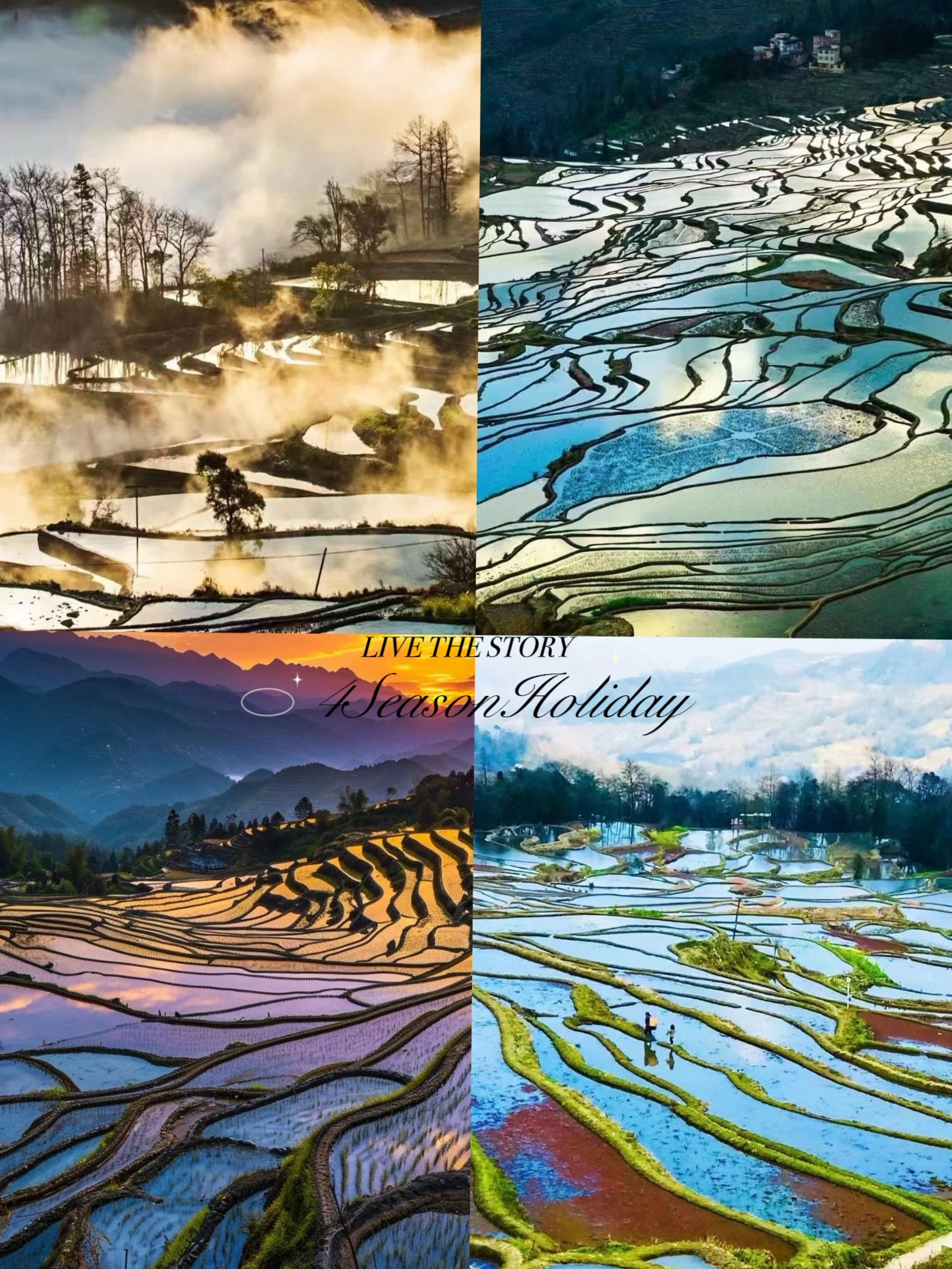 Day 9: Yuanyang Terraces Transfer