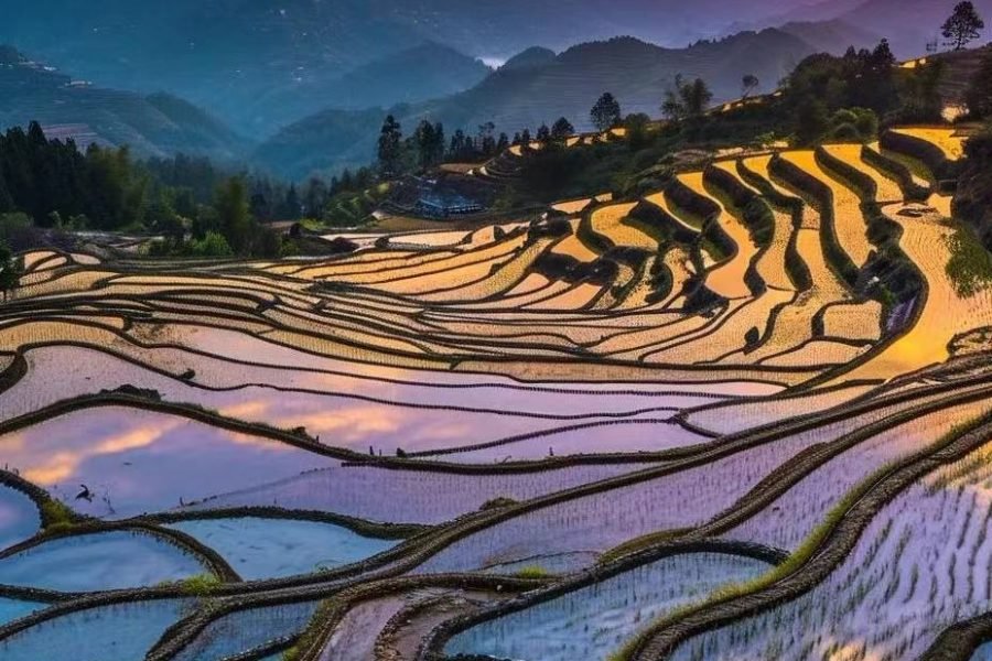 Yunnan & Guizhou Cultural Journey: 14-Day Minority Discovery