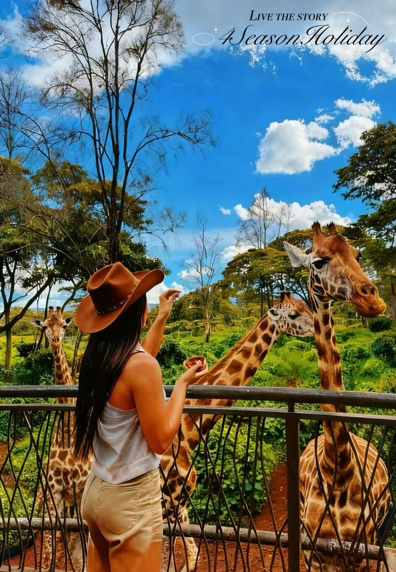 Day 2: Giraffe Conservation & Sweetwaters