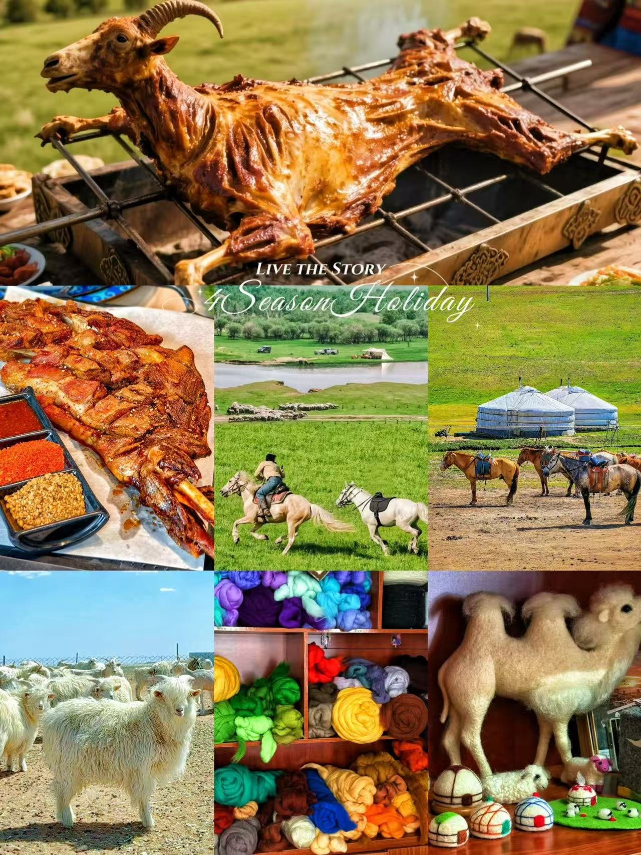 Day 9: Desert Culture & Return to Hohhot