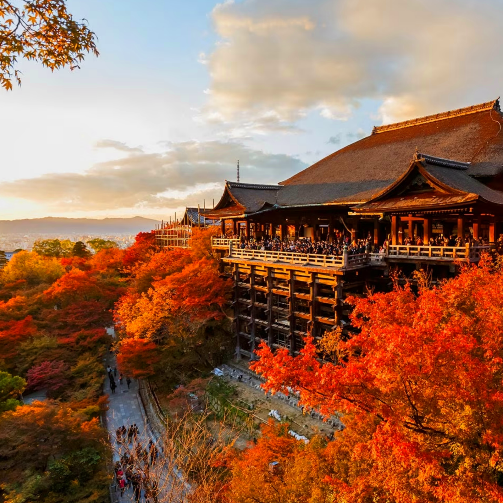 Day 5: Kyoto - Temple Trails & Samurai Tales