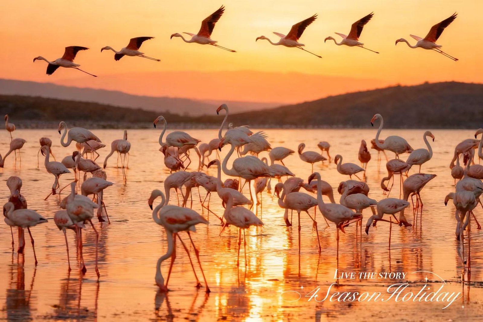 Day 9: Lake Natron 