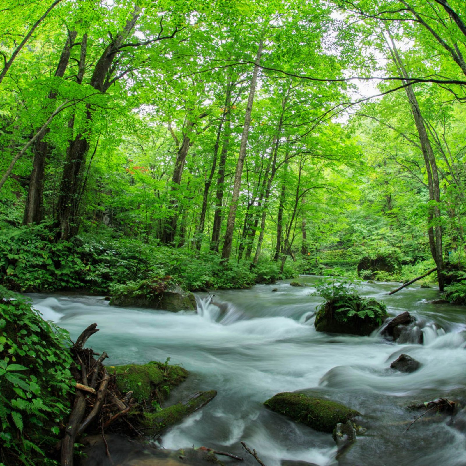 Day 6: Aomori Nature - Gorges & Lakes