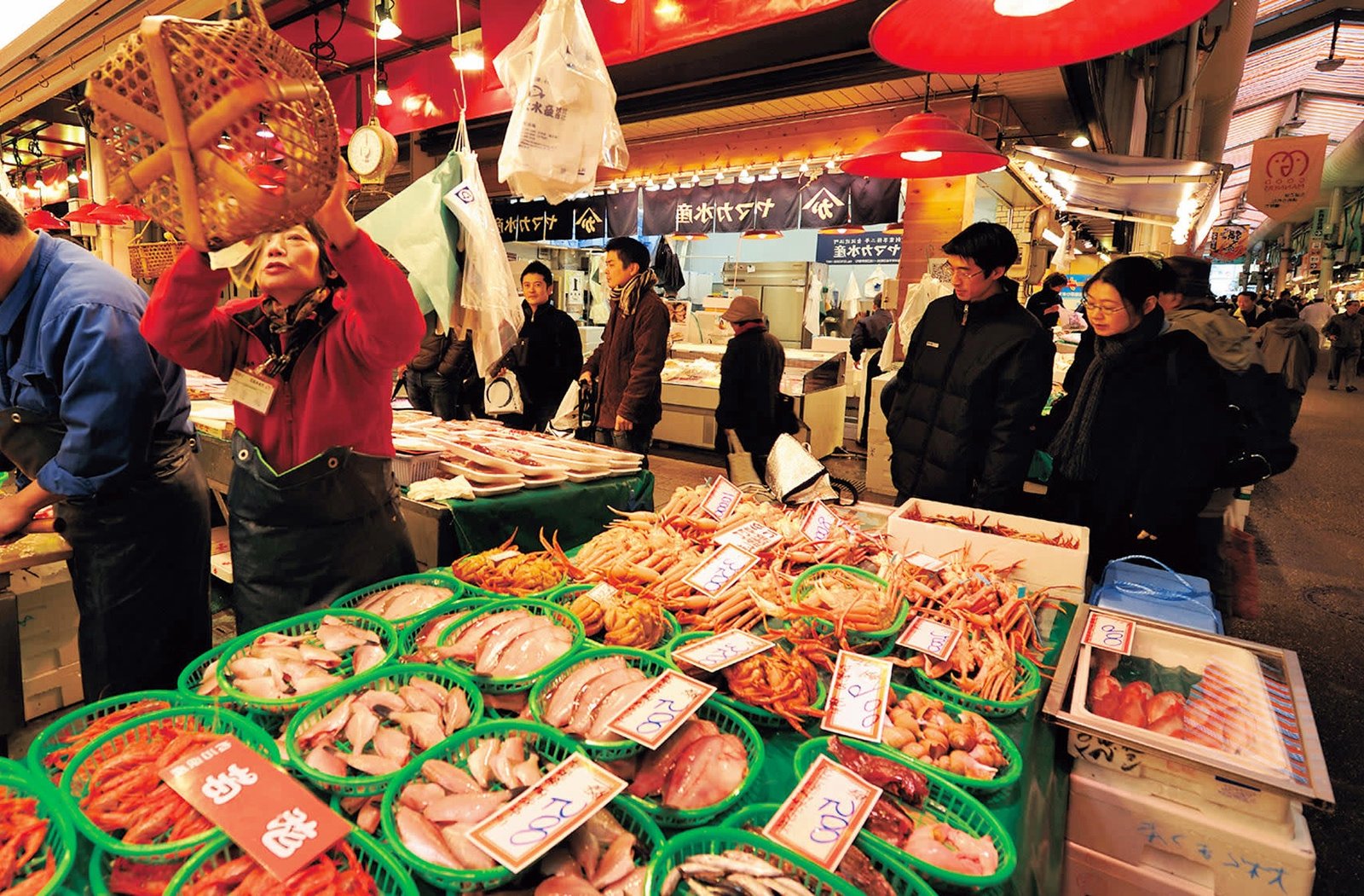 Day 8: Kyoto → Kanazawa - Golden City Blooms 