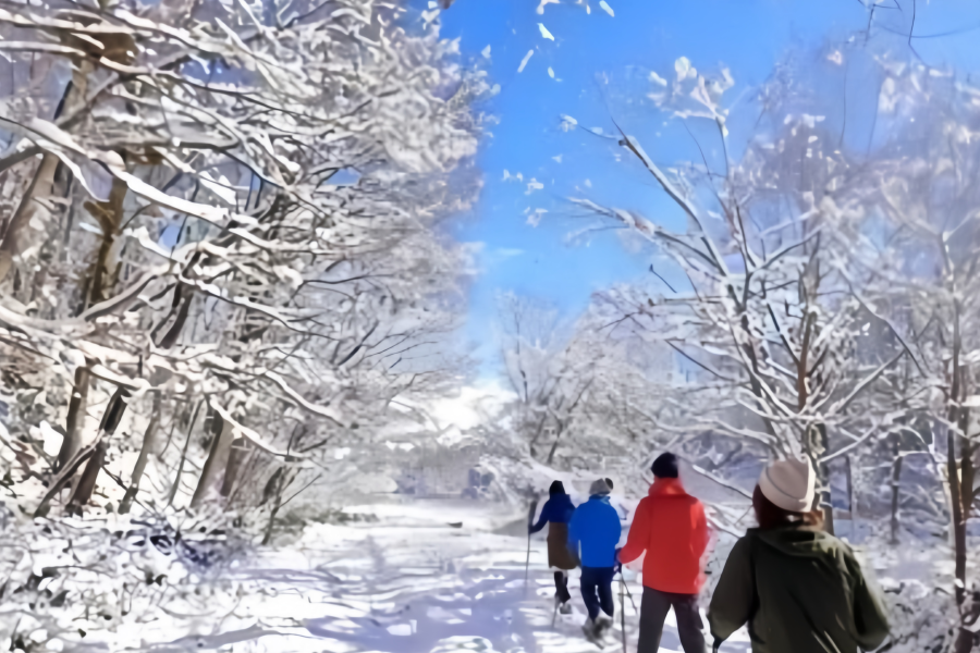 Hokkaido Winter Wonderland: 8-Day Magical Journey