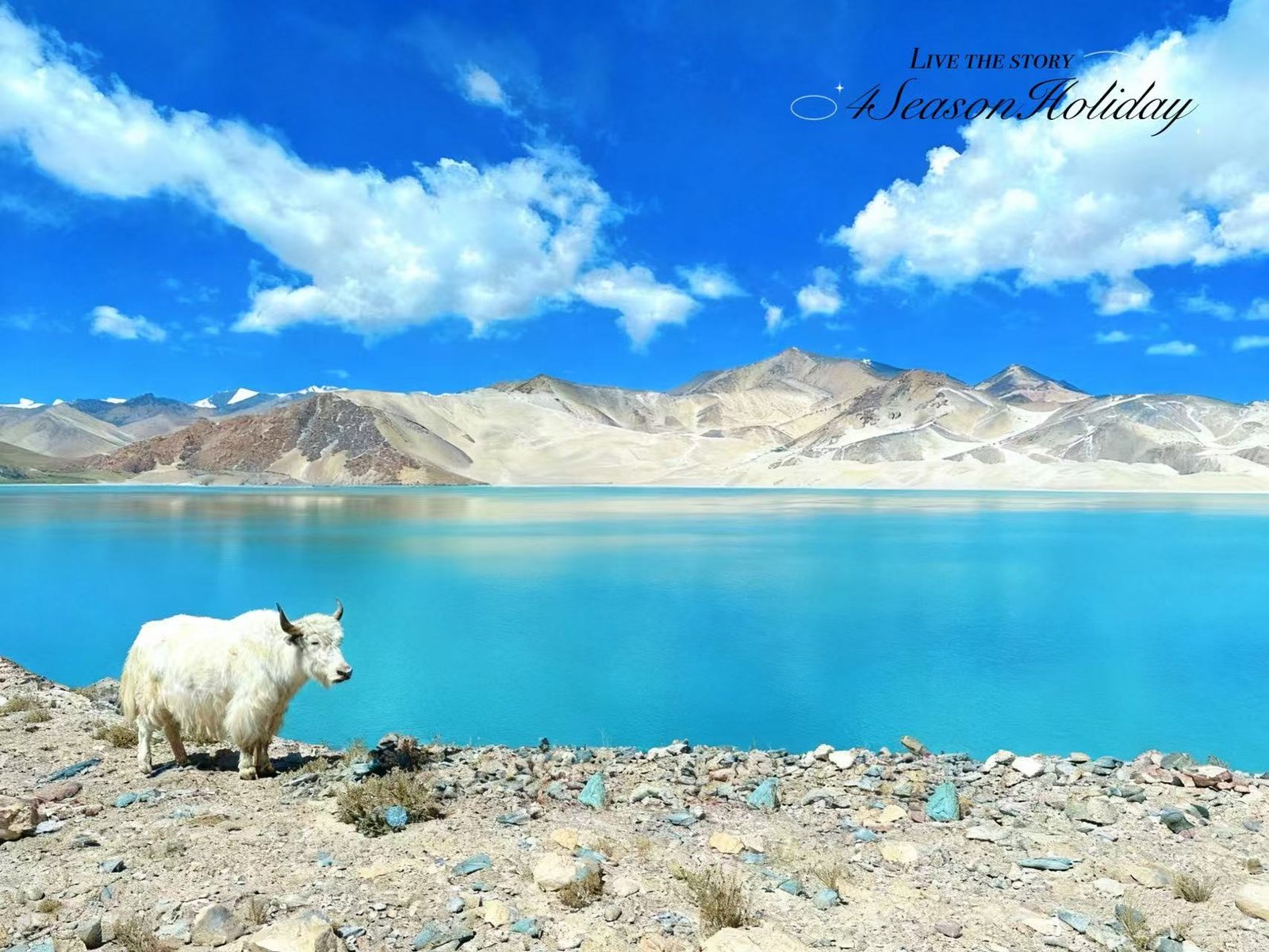 Day 13: Pamir Highway Adventure