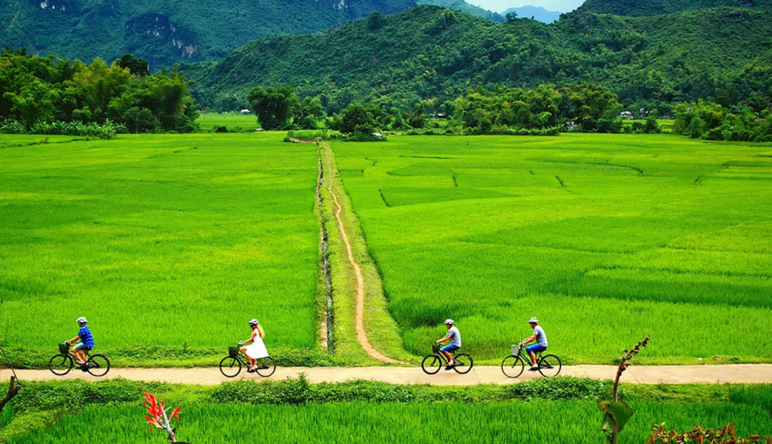 Pedal Through Paradise: Your Ultimate Guide to Cycling & Scooter Adventures in Vietnam