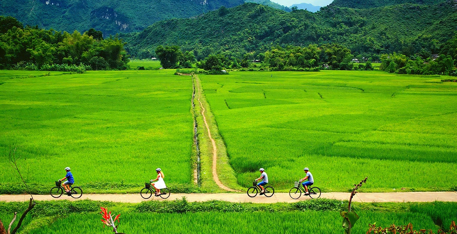 Pedal Through Paradise: Your Ultimate Guide to Cycling & Scooter Adventures in Vietnam