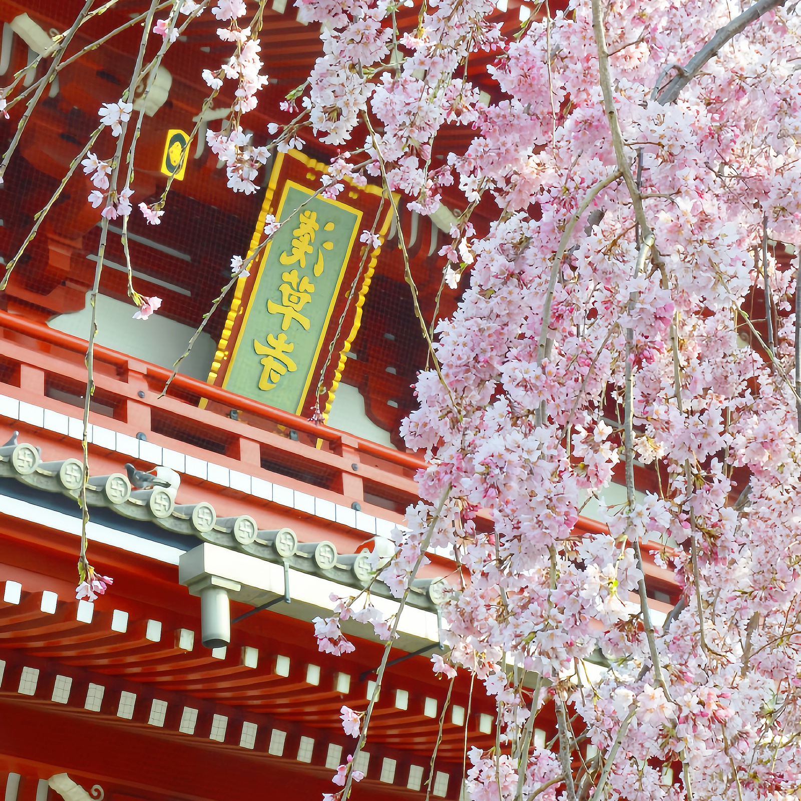 Day 2: Tokyo Blossoms - Markets, Temples & Moat Magic