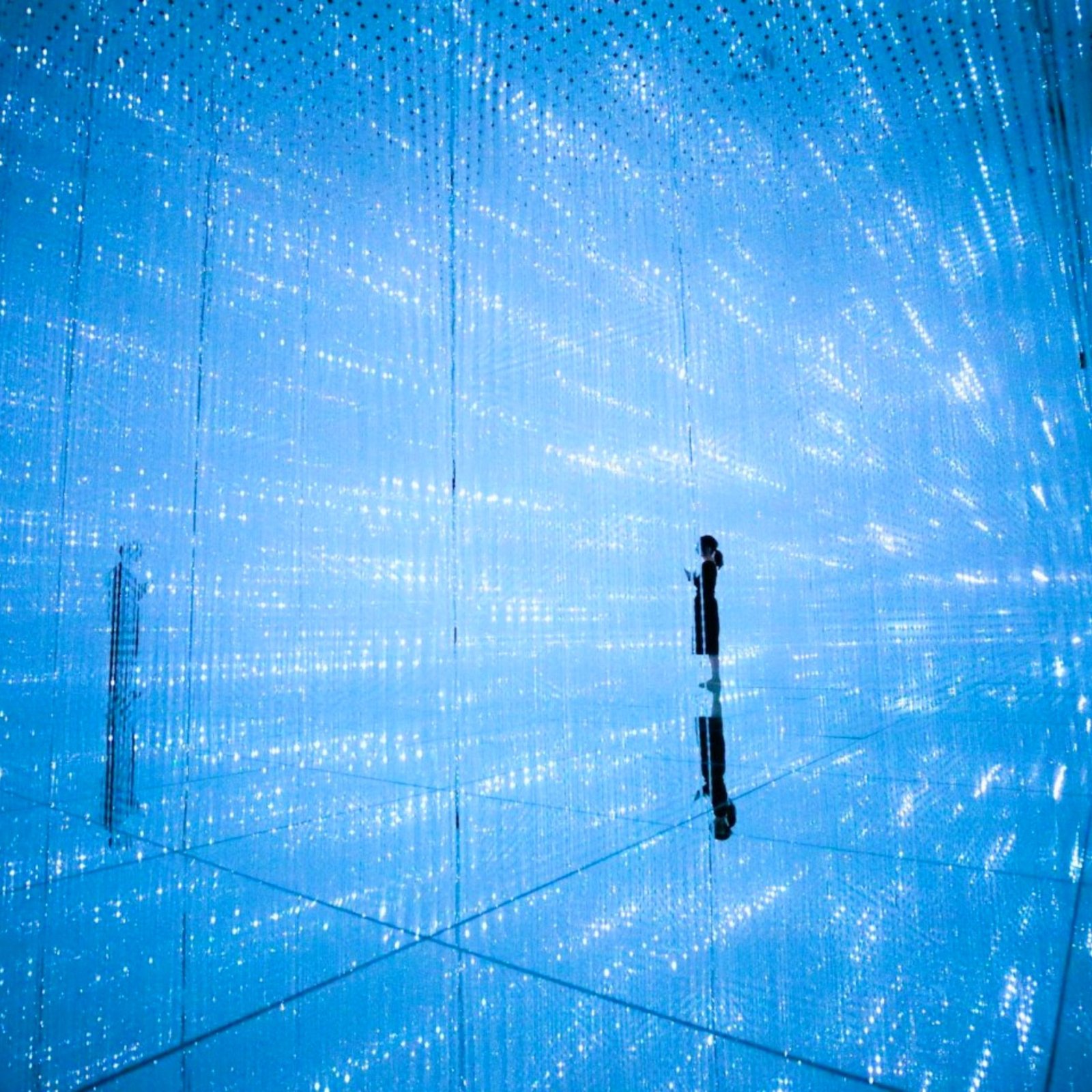 Day 3: Digital Worlds & Waterfront Wonders