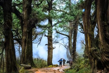 Ancient Shu Road Pilgrimage: 7-Day Walking Through Chinese History
