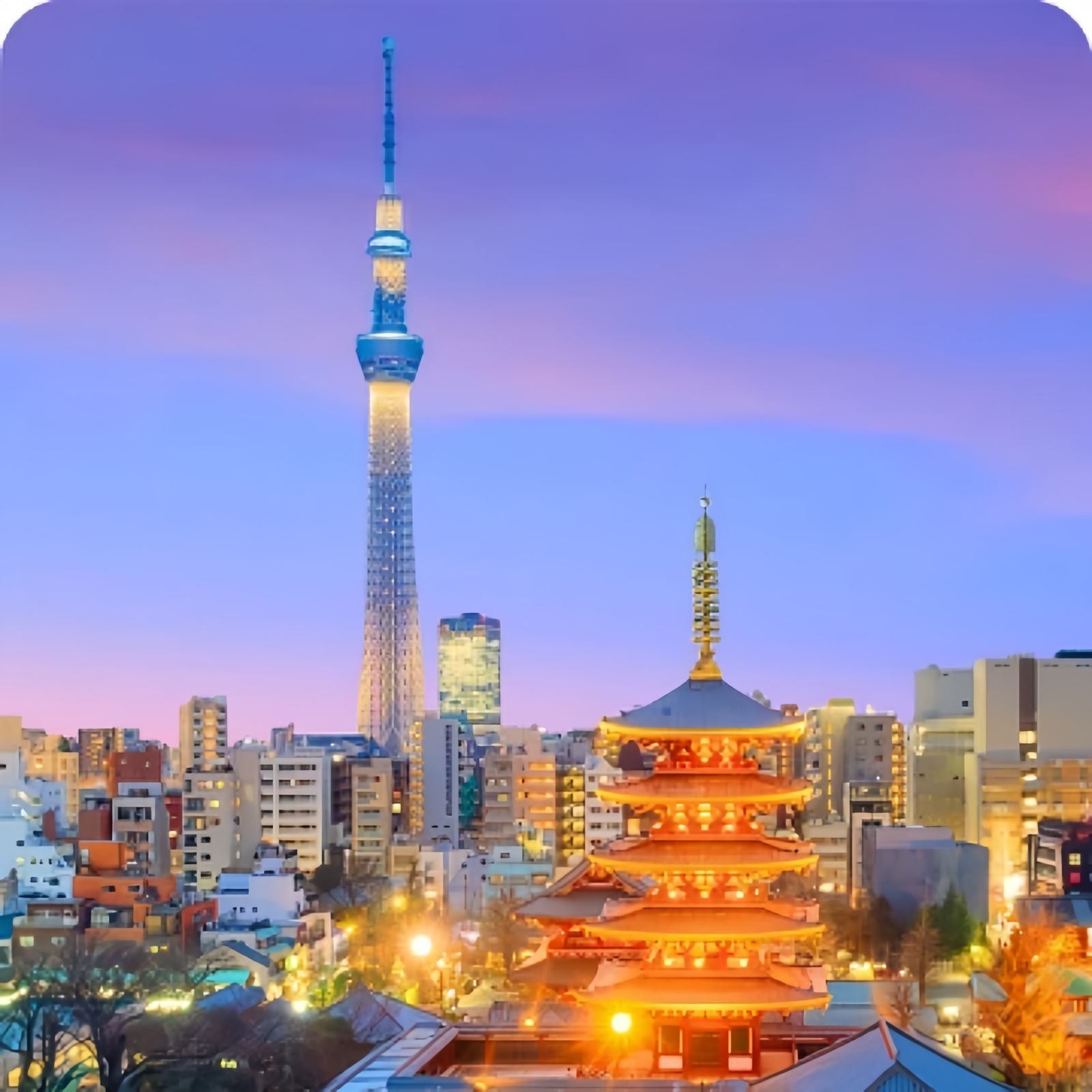 Day 2: Tokyo City Tour - Imperial Grandeur & Modern Wonders